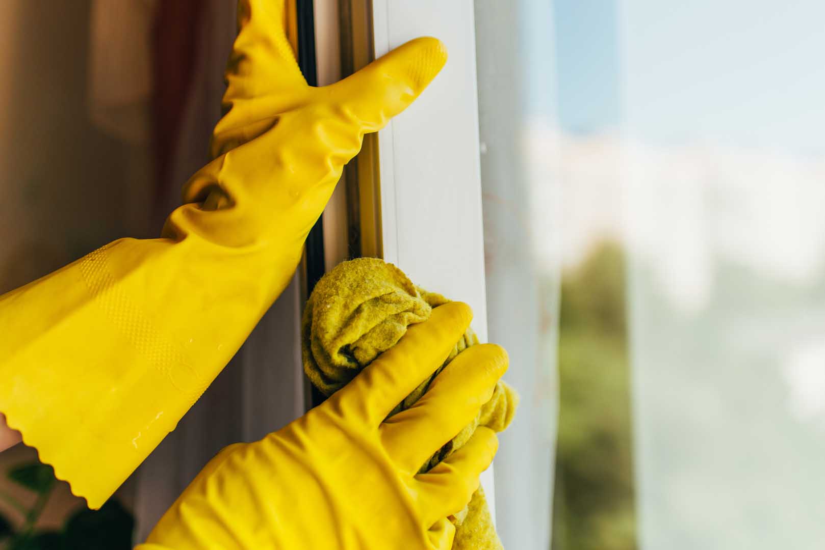 Fensterreinigung